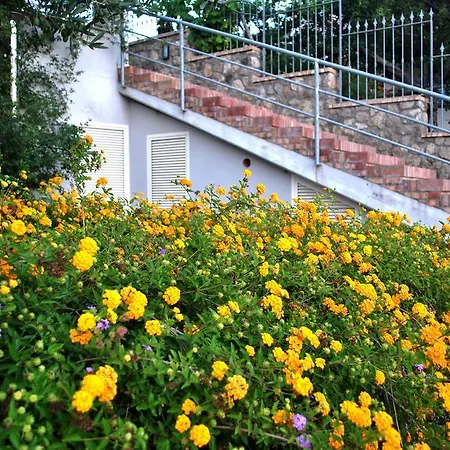 Ischia La Sentinella Casamicciola Terme