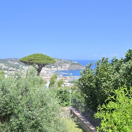 Ischia La Sentinella