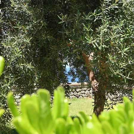 Ischia La Sentinella 3*
