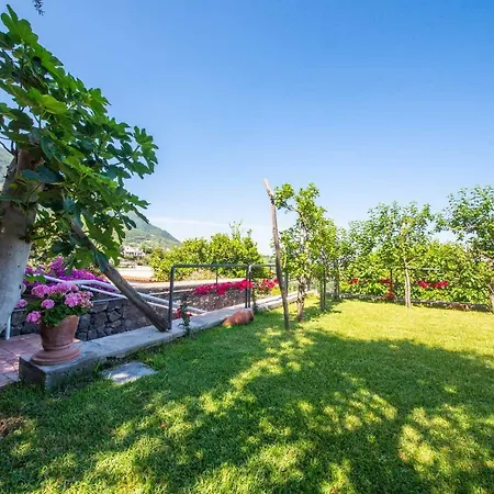 Aparthotel Ischia La Sentinella *