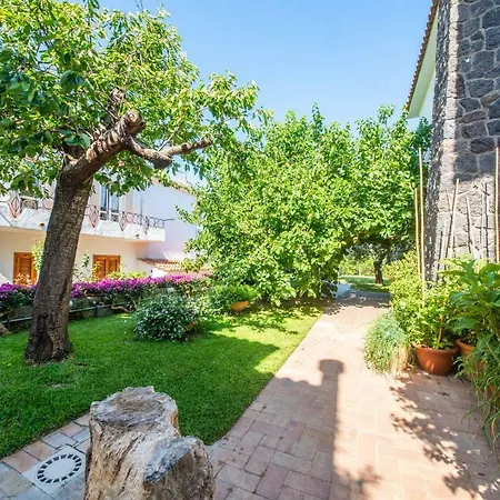 Ischia La Sentinella Aparthotel